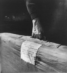 Sara Neumann carries her luggage labled with an address in New York as she leaves the Deggendorf displaced persons camp. Deggendorf, Germany, 1945–47.