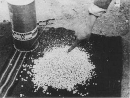 在解放马伊达内克 (Majdanek) 集中营时找到的齐克隆 B (Zyklon B) 药丸。