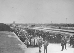 Large lines of people in heavy outwear in the center of snow covered several train tracks. Several uniformed guards stand at the head of the lines. The gates of Auschwitz can be seen in the background.