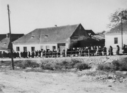Romani (Gypsy) women march to work in the Lackenbach internment camp. [LCID: 29046]
