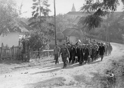 A column of Jewish forced laborers. Sarospatok, Hungary, 1941. [LCID: 12378a]