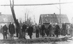 Cidadãos poloneses enforcados pelos nazistas em Sosnowiec.
