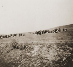 Les exécutions de masse de Juifs pendant la Shoah