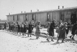 Des détenues tirent des wagons basculeurs remplis de pierres à la carrière du camp. Camp de Plaszow, Pologne, 1944.