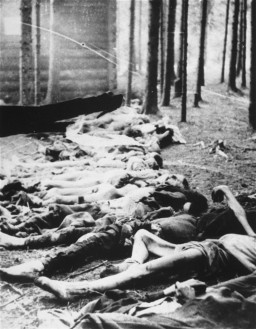 Corpses found by US soldiers after the liberation of the Gunskirchen camp, a subcamp of the Mauthausen concentration camp. [LCID: 0727]