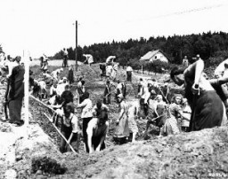 米軍当局の命令により、ブーヘンヴァルト強制収容所からの死の行進の犠牲者のための墓を掘るナンメリングのドイツ人市民。1945年5月、ドイツ。