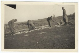 German soldiers force Soviet prisoners of war to construct a rail line. Place uncertain, 1941-1942.
 
This photograph is from an album discovered in a search mission in an abandonend building near Nuremberg by Steven Imburgia while serving with the 633rd Anti-Aircraft Unit.
 
