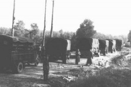 Trucks used to transport Polish prisoners to the Palmiry forest for execution