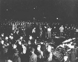 在柏林剧院广场 (Opernplatz)，德国学生和冲锋队队员成群聚集焚烧“非德国的”书籍的场面。拍摄地点：德国柏林