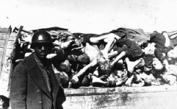 A US soldier on an inspection tour of Buchenwald poses for a photograph beside a wagon laden with corpses. The soldier is probably a member of the Headquarters and Service Company, 183rd Engineer Combat Battalion, 8th Corps, US 3rd Army, which arrived at Buchenwald on April 17, 1945, several days after the camp's liberation.