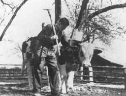 Un joven judío en una granja sionista de adiestramiento agrícola, patrocinada por el Comité para la Distribución Conjunta. Fuerth, Alemania, 13 de junio de 1946.