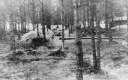 Execution site in the Ponary forest outside the Vilna ghetto. Lithuania, 1941.