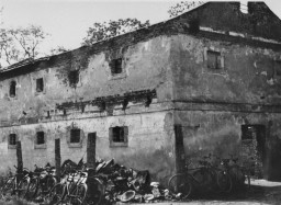 Site at which the SS shot and burned the last 45 of 48 prisoners at Chelmno. [LCID: 43201b]