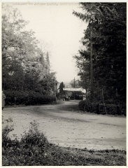 View of the road leading to the Deggendorf displaced persons camp. Deggendorf, Germany, 1945-46.