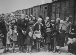 نساء وأطفال يهود منفصلين عن الرجال, تم نفيهم من المجر, واقفين في صف لعملية الاختيار بتحتشد أوشفيتز في بولندا, مايو 1944.