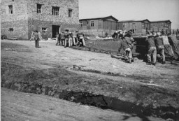 Prisonniers juifs au travail forcé dans le camp de Plaszow. Plaszow, Pologne, 1943-1944.