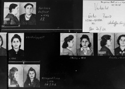 A genealogical chart of the Franz family, composed of identification photographs taken by the criminal department of the Aschaffenburg Identification Service [Erkennungsdienst]. Bavaria, Germany, 1942. This particular Romani family tree includes notes labeling individuals as "vagrants," "invalids," or "habitual criminals."
Racial hygienists would collect genealogical documents or create family trees in order to identify, register, and classify all Romani people living in Nazi Germany. Roma (pejoratively referred to as “Gypsies”) faced decades of discrimination in Germany and the rest of Europe. This societal marginalization intensified in Germany under the Nazi regime. 
Source Record ID: 68/30/35
