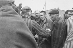 Survivors in Wöbbelin board trucks for evacuation from the camp to an American field hospital for medical attention. [LCID: 09256]