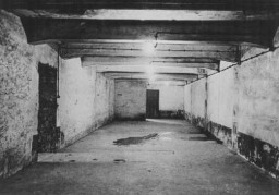 Postwar photograph of gas chamber for mass murder in the Auschwitz main camp. Poland, ca. 1947. 
In mid-August 1940, Auschwitz concentration camp authorities put into operation a crematorium adjacent to a morgue. This building was located just outside the boundaries of the Auschwitz main camp. In September 1941, the morgue was converted to a gas chamber for mass murder where several hundred people could be killed at a time. This gas chamber was used until December 1942,  though the crematorium remained in operation as late as July 1943. In 1944, camp authorities dismantled the crematory furnaces and transformed the building into an air raid shelter for the SS hospital and for SS officers working in camp administration buildings nearby. During the creation of the Auschwitz-Birkenau State Museum in 1947, two crematory furnaces were reconstructed using original parts and the crematory chimney was rebuilt. Around this time, the air raid shelter walls were demolished to allow visitors to the museum and memorial to view the reconstructed gas chamber and crematorium space.