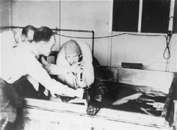 Une victime des expériences médicales nazies est plongée dans de l’eau glacée au camp de concentration de Dachau. Le docteur SS Sigmund Rascher supervise l’expérience. Allemagne, 1942.