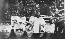 Polish babies, chosen for their "Aryan" features, to be adopted and raised as ethnic Germans. [LCID: 01152]