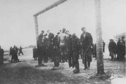 Members of the Lvov Jewish council are hanged by the Germans. Lvov, Poland, September 1942.