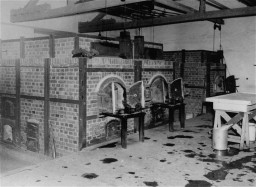 Two crematorium ovens sit next to each other, while another is sat along the wall farthest from the camera. A work table and two buckets sit in the open work space in front of the ovens.