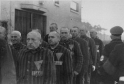 작센하우젠 집단 수용소에서 삼각형 배지를 단 유니폼 착용 수감자들이 나치의 경비를 받으면서 모여 있다.