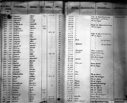 Две страницы реестра смертей в Хадамаре с указанием ложных причин смерти. По программе эвтаназии там были уничтожены тысячи физически и умственно неполноценных людей. Германия, 5 апреля 1945 г.