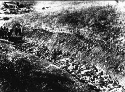 Des enquêteurs soviétiques (à gauche) regardent une tombe ouverte à Babi Yar.