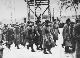 Soviet prisoners of war arrive at the Majdanek camp. [LCID: 34143b]