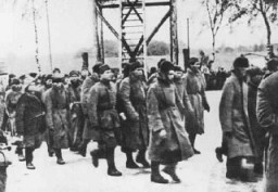 Советские военнопленные, прибывающие в концентрационный лагерь Майданек.