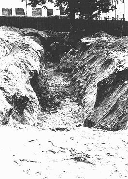 A mass grave dug by Jewish forced laborers for the bodies of individuals murdered by the NKVD in Lvov prisons. [LCID: 81532]