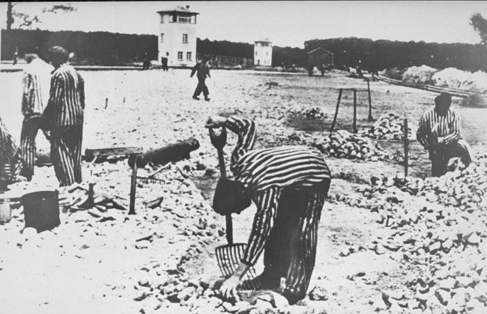 Prisoners of Sachsenhausen at forced labor.