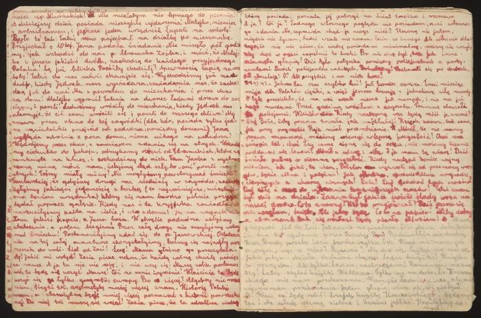 Stanislava Roztropowicz kept a diary from 1943-1944. In it, she describes her family's decision to hide an abandoned Jewish girl, Sabina Heller (Kagan). 
Sabina Kagan was an infant when SS mobile killing squads began rounding up Jews in her Polish village of Radziwillow in 1942. Her parents persuaded a local policeman to hide the family. The policeman, however, soon asked the Kagans to leave but agreed to hide baby Sabina. Her parents were captured and killed. Sabina was concealed in a dark basement, with minimal food and clothing. She was discovered and taken in by the Roztropowicz family in 1943.
This image shows pages from the diary kept by Stanislava, one of Sabina's rescuers. Stanislava recorded events of the war, updates on the eldest Roztropowicz child who was in forced labor, and the progress of Sabina, whom the family decided to call "Inka."
