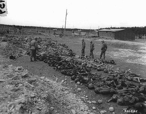 US troops view bodies of victims of Kaufering IV, a Dachau subcamp in the Landsberg-Kaufering area. [LCID: 37316a]