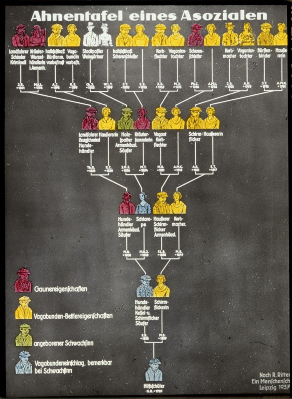 Color glass slide of a genealogical chart of an "asocial" individual, who was the product of a line of "asocial individuals." Leipzig, Germany, 1937.
 