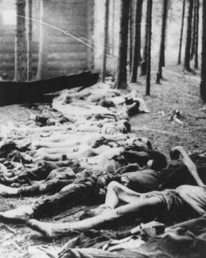 Corpses found by US soldiers after the liberation of the Gunskirchen camp, a subcamp of the Mauthausen concentration camp. [LCID: 0727]