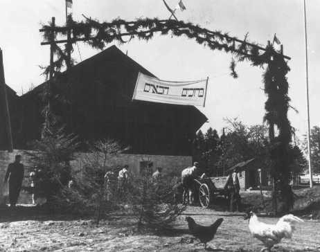 An agricultural training farm preparing Jewish refugees for life in Palestine, sponsored by the United Nations Relief and Rehabilitation Administration.