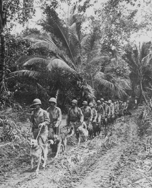 American marines head for the front lines in the jungles of Bougainville, one of the Solomon Islands in the Pacific Ocean. [LCID: na184]
