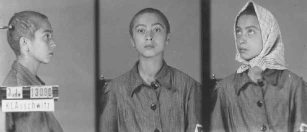 Identification pictures of a female inmate of the Auschwitz camp.