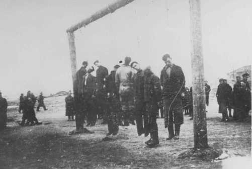 Members of the Lvov Jewish council are hanged by the Germans. [LCID: 78772]