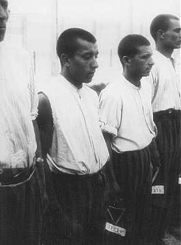 Romani (Gypsy) prisoners line up for roll call in the Dachau concentration camp. [LCID: 10742]