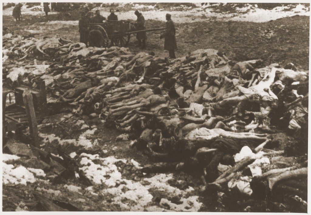 Bodies of Soviet prisoners of war. Place and date uncertain. [LCID: 79306]