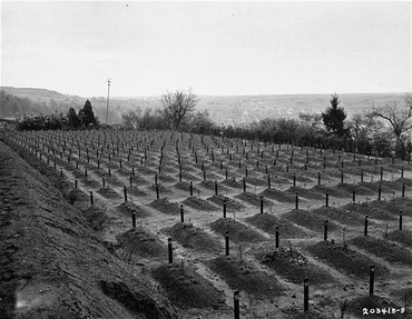 <p>Cemetery at Hadamar. This photograph was taken toward the end of the war. Hadamar, Germany, April 1945.</p>