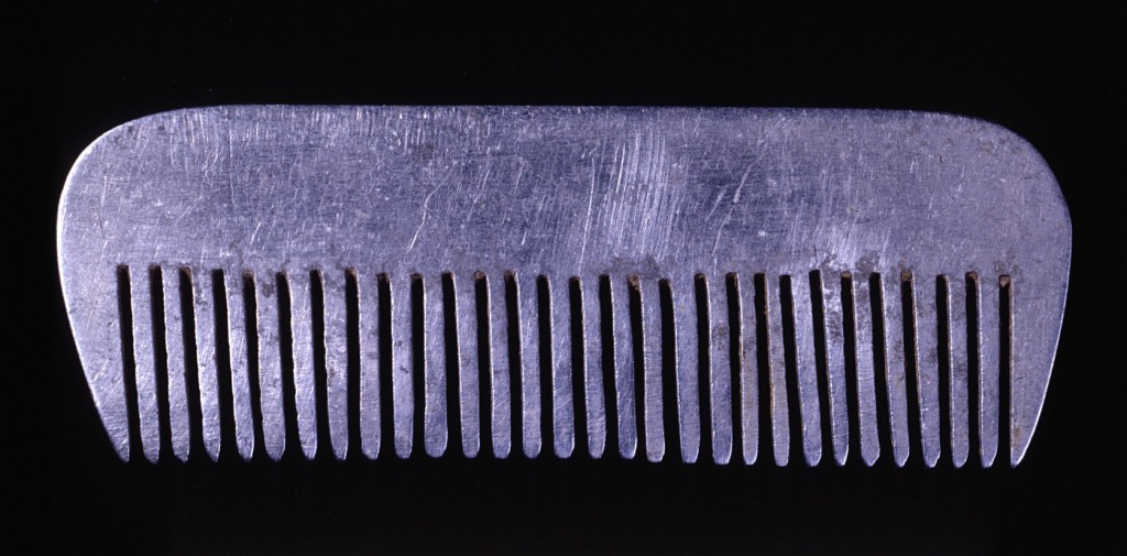 Comb made by Yona Wygocka Dickmann [LCID: 1998tdh3]
