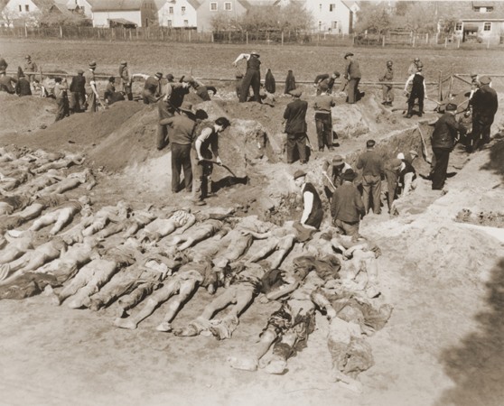 German civilians from Schwarzenfeld dig graves for the reburial of 140 Hungarian, Russian, and Polish Jews exhumed from a mass grave ... [LCID: 78850]