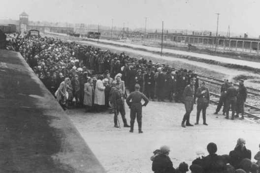 A transport of Hungarian Jews lines up for selection at Auschwitz. [LCID: 77319]