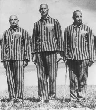 Austrian prisoners, marked with triangles and identifying patches, in the Dachau concentration camp. [LCID: 78552]