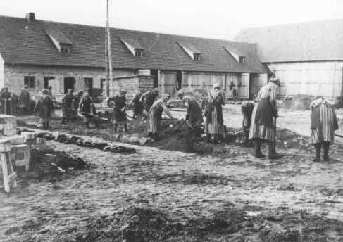 Inmates at forced labor in the Ravensbrück concentration camp.